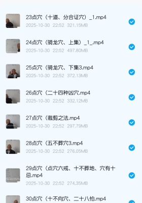 周锦伦阴宅点穴秘法30集💰5