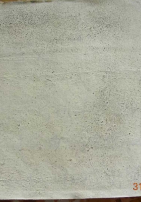 《张天师符咒》💰5