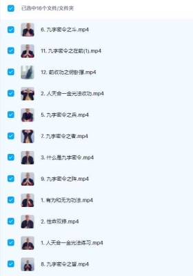 梁老师天人合一大金光法及九字密令16集视频课💰5