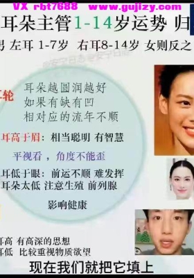 安宁日志面相课【面相美学】视频19集+2个课件💰5