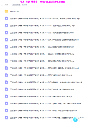 王超老师《伏羲一气针绝学阴阳平衡术》第1期39集视频💰5