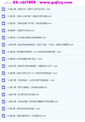 陈里昂变现就业指导课程。占卜师咨商就业指导课课 神秘学从业人员必备16集视频💰5