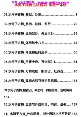 《水河子秘传古法梅花-系统一体班》文字校对版💰5