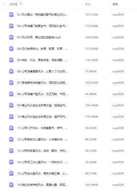 刘济纲 商业风水选址和布局16集视频💰5