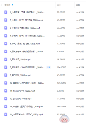 朱亚伦 太极拳站桩 站桩内练小周天14集￥5
