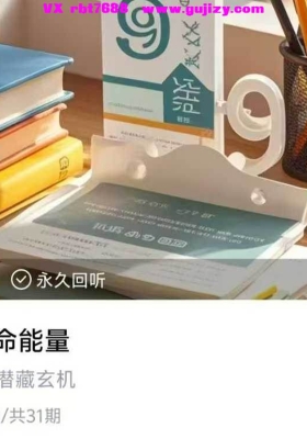 【数字能量】九数生命能量～洞悉命运潜藏玄机31集视频课💰5