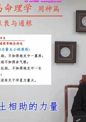 徐丙昕《四柱八字用神篇》教学视频17集💰5