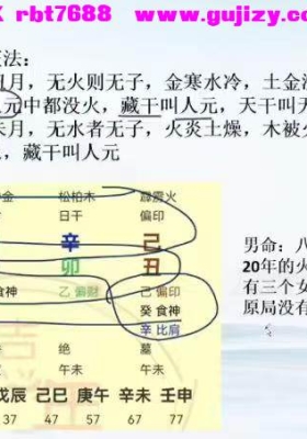 如是禅说 辰南《四柱八字精批六亲》教学视频38集💰5