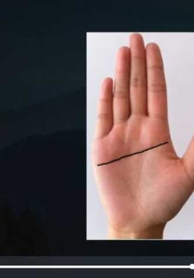 【李洪亮老师】教你学会看面相6集视频💰5