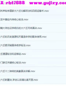 六壬泰斗林莞婷200G高级弟子班大六壬绝学秘法流出 9集视频课💰5