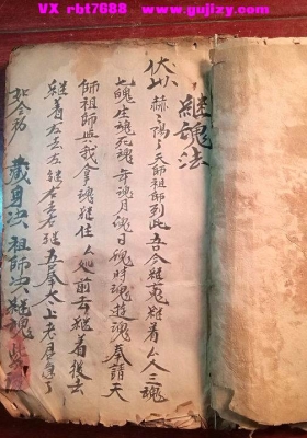 《继魂法》💰5