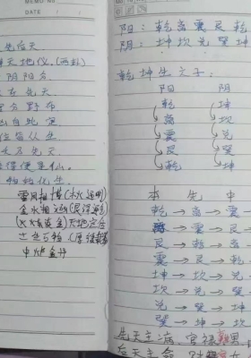 《杨公秘技手写》杨师秘传批注笔记💰5