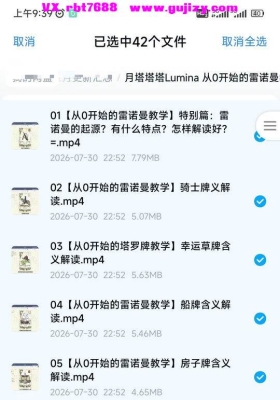 月塔塔塔Lumina【雷诺曼】从0开始的雷诺曼教学课程！42集视频💰5
