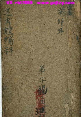 《进虫蝗烛科》💰5