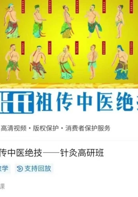 张氏祖传中医绝技-针灸高研班15讲视频课💰6