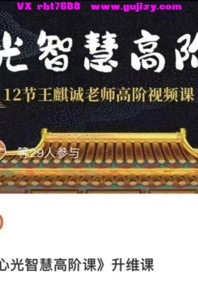王麒诚《心光智慧高阶课》觉醒高维意识，活出丰盛人生视频课💰5