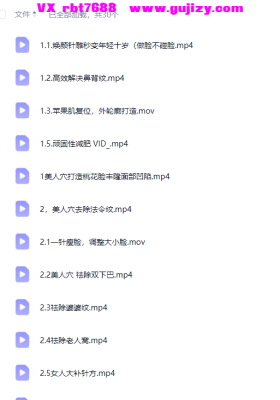 测试焕颜真道新中式美雕·心得绝技-美善老师💰5