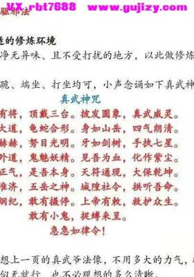 奕辰-真武法-实操篇-简单易上手-4页 仅法本💰5