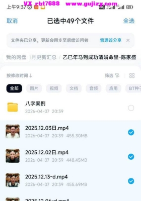 乙巳年马到成功清娟命里-陈家盛2025年49集视频带课件💰5