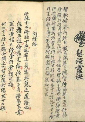 《经脉抄本》💰5