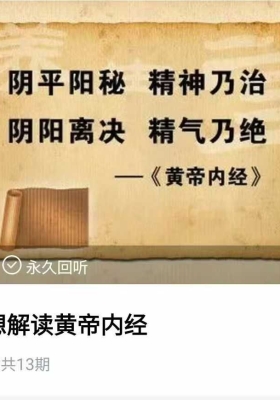 全人思想解读黄帝内经读懂中医根源的经典课13集视频课💰5