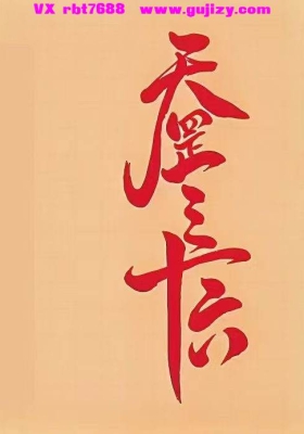 天罡36《天罡三十六》💰5