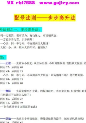 雷宗麟配号秘法手机选号看人生 文档资料💰5