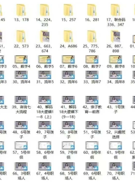 李伟英《数字心理学》教学视频72集💰5