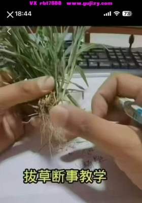 混元地理·混元绝技拔草断事  10集视频课💰5