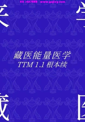 【能量医学】周毛嘉&尼达老师·藏医能量医学1.1根本续 「打开心轮的钥匙」视频合集💰5