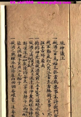 《跳神仪注》💰5
