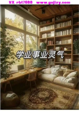 瑞秋学业与事业提升课程「音频ppt+点化」💰5