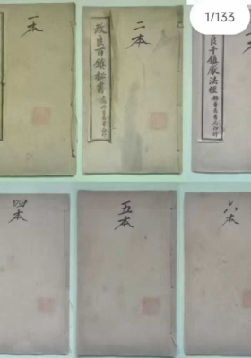 《改良千镇百镇桃花镇》💰5