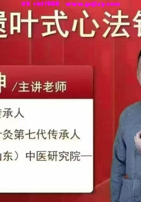 叶浩坤叶氏心法针灸法线下➕线上（阴阳针刺法）线下8集课程➕27节网课💰5