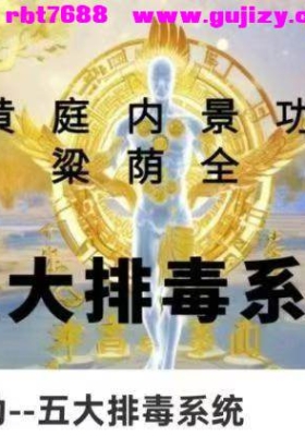 【功法】 黄庭内景功 五大排毒系统视频音频课💰5