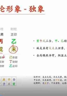 水木先生最新《四柱八字丙火案例集》教学视频99集💰5
