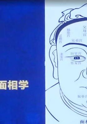 黎荔紫微心学中阶课13集视频课💰5