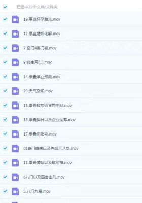 丁晟轩 奇门遁甲4期和5期视频合集 四期22集五期23集，每集两三个小时💰8