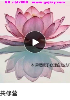 内在平静共修营 幸福人生潜意识疗愈 | 22节系统清理课💰5