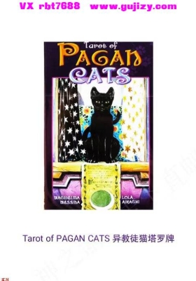 Pagan Cats异教徒猫塔罗牌中文翻译.pdf💰5