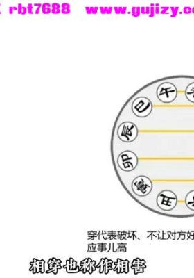 知易而行信笛八字专业课视频十集+课件💰5