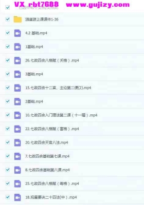 吴星平 七政四余 基础班+进阶班+高级班 视频和课件大合集💰5