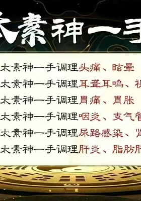 青城山道医《太素神一手》课程6集视频课 💰5
