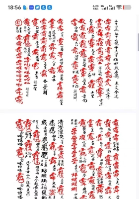 《地司太岁家传大法隐秘讳咒》💰5