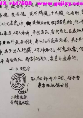 真武取魂 变身藏魂法 视频+课件💰5