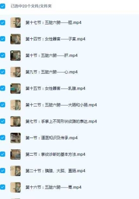 道医知识传承 黄凯晟老师掌纹的秘密， 掌纹诊断的基本方法20集视频课💰5