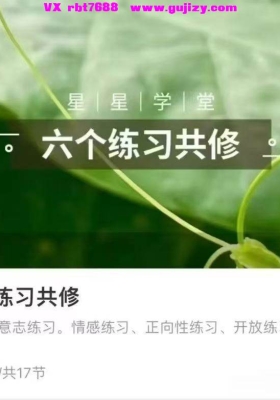 【灵性基础】星星学堂姚珺 六个练习共修 17集视频课程💰5
