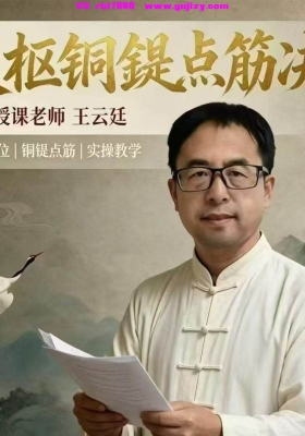 中域最新好课【灵枢铜鍉点筋决】-王云廷66集视频课💰5