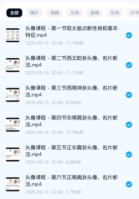 金霖老师《微信头像》教学视频15集 💰5