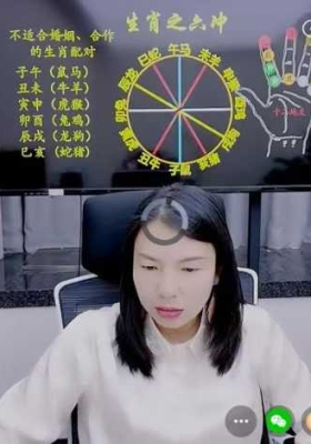 张姝-天干地支相冲：命局中的隐忧与化解mp4 视频一节💰5